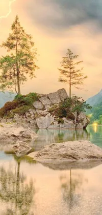 Transform your phone's dull background with this live wallpaper featuring a stunning tree perched atop a rock beside a peaceful water body