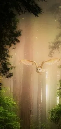 This stunning phone live wallpaper showcases a lush green forest, with a bird flying overhead