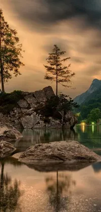 Decorate your phone screen with this stunning live wallpaper featuring a serene tree on a rock near a peaceful water body amidst the captivating forest scenery and majestic mountains in the background