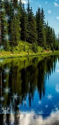 Get a serene lake and fir forest on your mobile with this live wallpaper