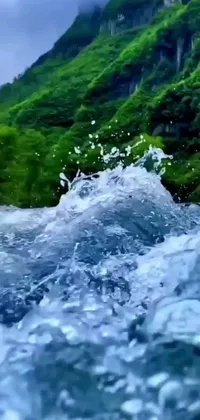 This live wallpaper features a picturesque river flowing through a lush, green forest surrounded by stunning vfx