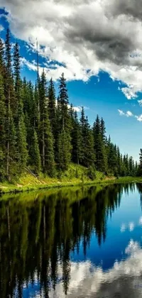 This phone live wallpaper showcases a picturesque body of water surrounded by trees in evergreen forest