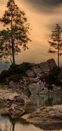 This live wallpaper boasts the natural beauty of the great outdoors