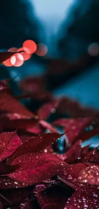 Transform your phone screen with this mesmerizing live wallpaper featuring a water droplet adorned plant set against a tranquil autumn night backdrop