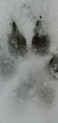 This phone live wallpaper features a stunning dog paw print in the snow alongside a stipple texture and land art design