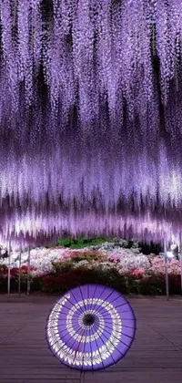 This live wallpaper features a mesmerizing scene of a purple umbrella resting on a wooden floor surrounded by sōsaku hanga flowers
