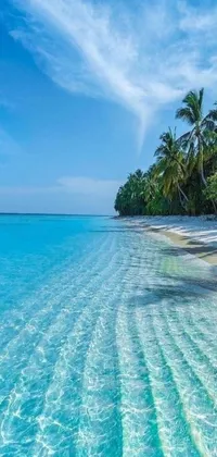 Get transported to a paradise-like beach with this stunning live wallpaper for your phone