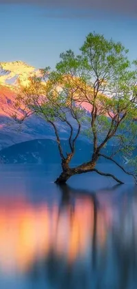 This live phone wallpaper showcases a tree in the middle of a lake surrounded by mountains, set in a picturesque New Zealand landscape