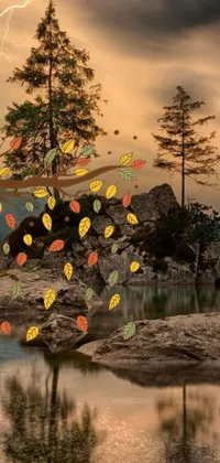 This dynamic live wallpaper features a serene scene of a tree on a rock near a calm body of water amidst autumn leaves