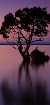 Looking for a peaceful and serene wallpaper for your phone? Check out this stunning live wallpaper featuring a lone tree standing tall in the middle of a body of water