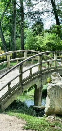 This phone live wallpaper features a wooden bridge over a small stream in a tranquil park