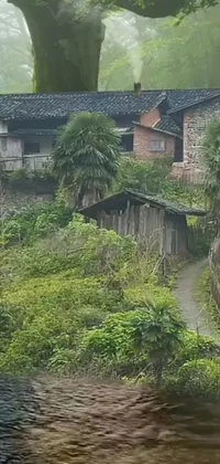 This phone live wallpaper features a charming village atop a lush green hillside