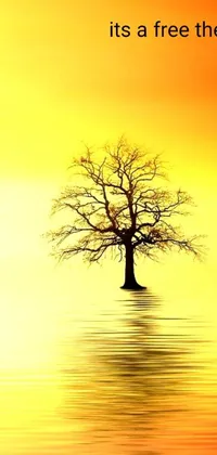 Water Plant Tree Live Wallpaper