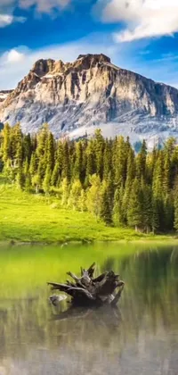 This phone live wallpaper showcases a mesmerizing and awe-inspiring natural scene of a beautiful lake garnering a great mountain as its backdrop