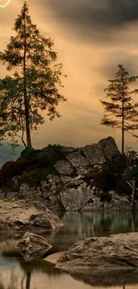 Transform the look of your mobile device with this stunning live wallpaper featuring a tree perched on top of a rock next to a still body of water
