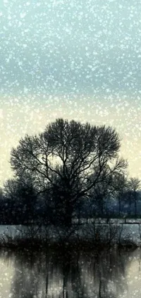 Experience the enchanting charm of winter with our Snowy Day phone live wallpaper
