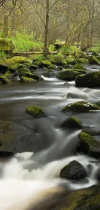 This stunning live phone wallpaper features a scenic view of a stream flowing through a lush, green forest