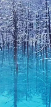 This phone live wallpaper showcases a serene body of water set in a snow-covered forest