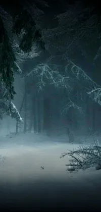 This phone live wallpaper features a snow covered forest filled with numerous trees, set against a dark background
