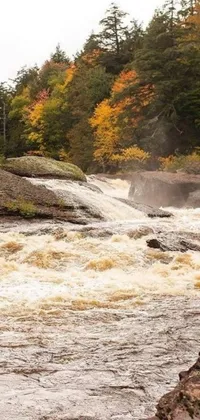 This stunning phone live wallpaper depicts a man standing on a rock near a rushing river during mid-fall