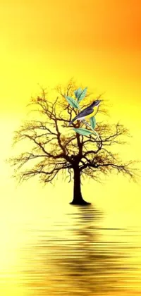 Introducing a stunning live wallpaper for your phone featuring a serene tree in a body of water, with a golden background and a mystical bird