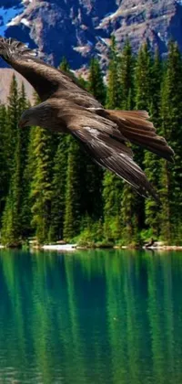 This vivid live wallpaper showcases a stunning bird gliding over an idyllic lake surrounded by verdant forests