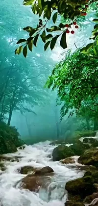 This phone live wallpaper depicts a lush green forest through which a stream flows