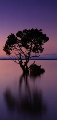 Experience the tranquility of nature with this phone live wallpaper featuring a stunning image of a lone tree in the middle of a serene body of water