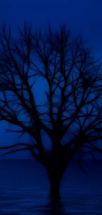 This live wallpaper features a stunning image of a lonely tree in a tranquil body of water, in mesmerizing midnight-blue shades