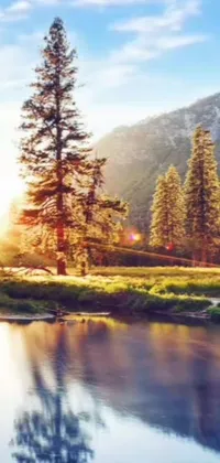 Enjoy the scenic beauty of a forest and river live wallpaper on your phone