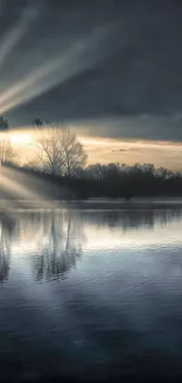 This phone live wallpaper features sunlight shining through clouds over a body of water, trees reflected in the lake, and light beams with dust