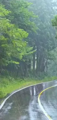 The phone live wallpaper is a stunning collection of images that features a car driving down a rain-soaked road, a colorful photograph, a sōsaku hanga of a beautiful forest scenery, a video still showing a group of animals drinking cocktails made from lemons and limes, and a timeless screensaver of a scenic landscape