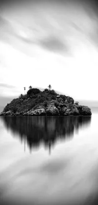 This phone live wallpaper features a mesmerizing black and white photograph of a serene island reflected in still waters