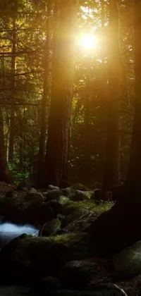 Experience the breathtaking beauty of nature with this stunning live wallpaper for your phone
