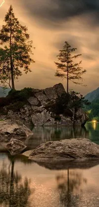 This phone live wallpaper depicts a picturesque landscape of a tree on a rock beside a serene body of water at dusk