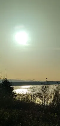 This live wallpaper showcases the picturesque view of a sunset over a tranquil body of water