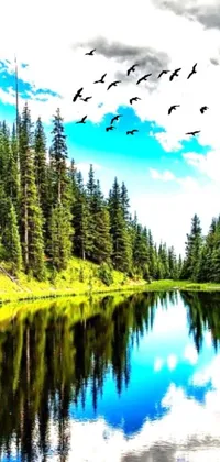 Enjoy the stunning beauty of nature with this phone live wallpaper featuring a flock of birds flying over a peaceful body of water set against a picturesque pine tree landscape