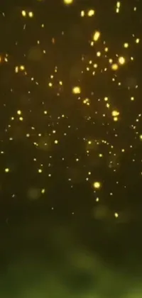 Must-see phone live wallpaper! Admire the yellow fireflies flying through the air against gorgeous backgrounds of mountains, beaches, and forests