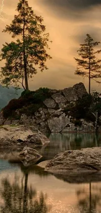 This phone live wallpaper features a photorealistic landscape of a tree on a rock next to a body of water