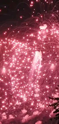 This live phone wallpaper displays a mesmerizing fireworks show against a nighttime sky