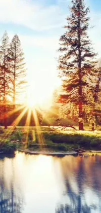 Capture the essence of serene nature on your phone with our "Sunburst Stream" live wallpaper