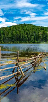 This phone live wallpaper showcases a wooden fence sitting peacefully in the middle of a serene lake