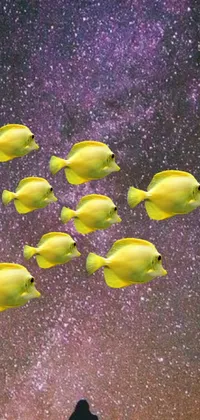 This lively phone wallpaper displays a vivid image of yellow fish gracefully gliding through a surrealistic ocean with a galaxy full of stunning stars in the backdrop