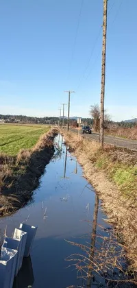 This live wallpaper features a serene water body nestled beside a country road in rural Washington