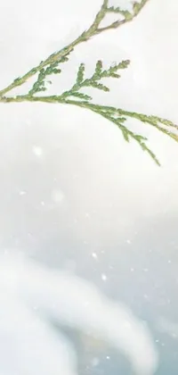Add a serene touch of winter to your phone with this bird and snow Live Wallpaper
