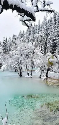This phone live wallpaper showcases the breathtaking beauty of nature with a stunning image of a serene lake surrounded by snow-covered trees