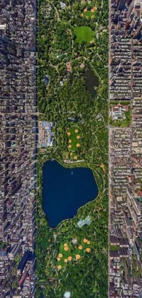 This phone live wallpaper showcases a stunning aerial view of a bustling park in the heart of a city