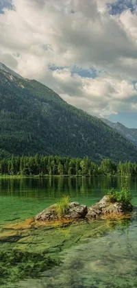 Immerse yourself in nature with this stunning live wallpaper for your phone