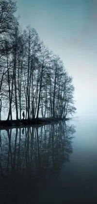 This stunning phone live wallpaper depicts a serene lake surrounded by tall trees and features a beautiful reflection of the natural scenery in the water
