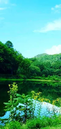 This beautiful phone live wallpaper showcases a serene body of water surrounded by lush greenery and tall trees in Sangyeob Park
